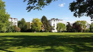 A grassy park area with trees and modern buildings in the background. - Hotel Gaya (Bad Soden am Taunus)