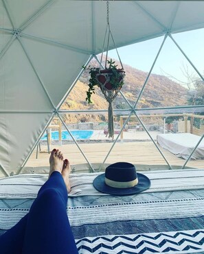 Eco Domo | Mountain view