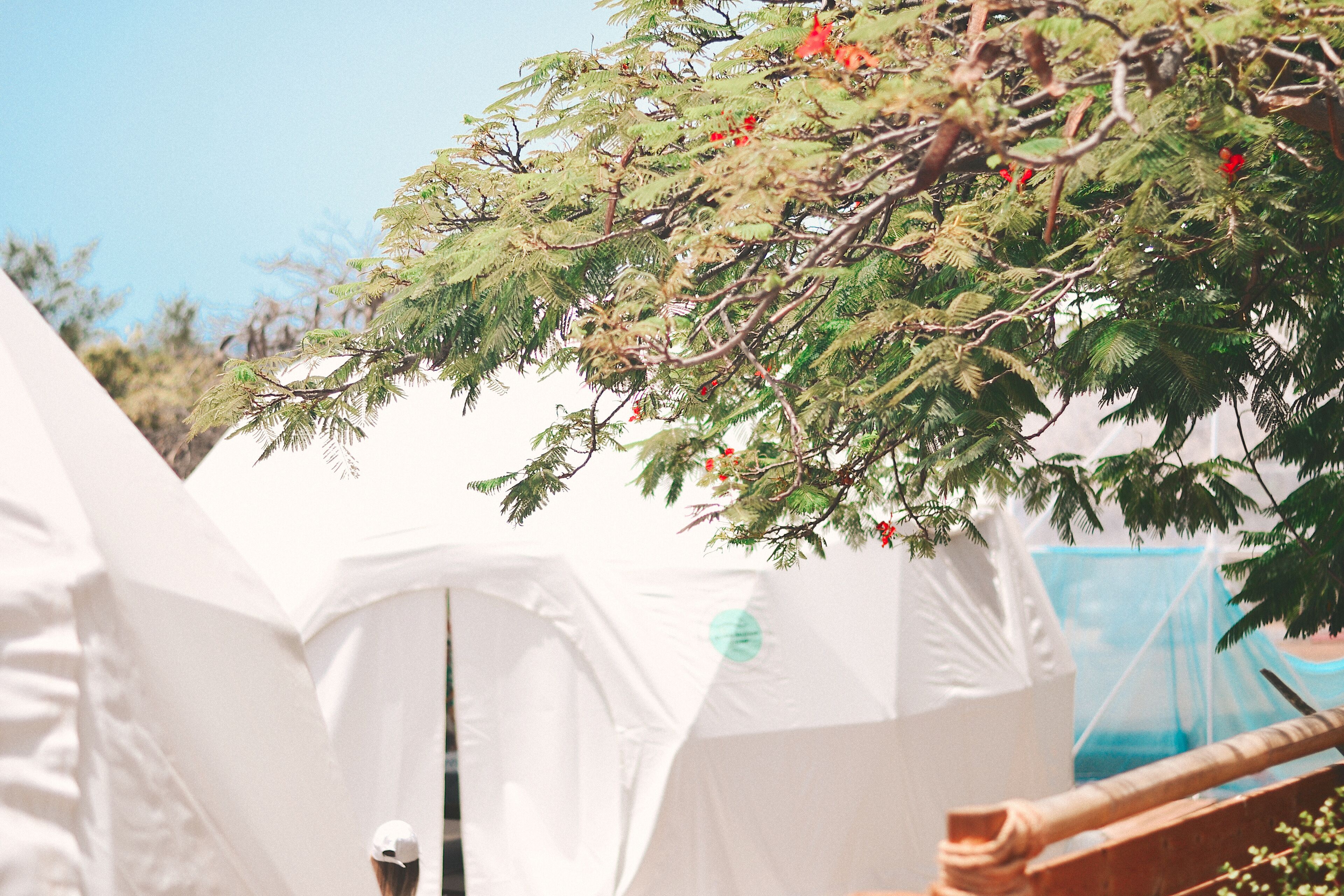 Foto - Blue Ocean Camp - Tasartico