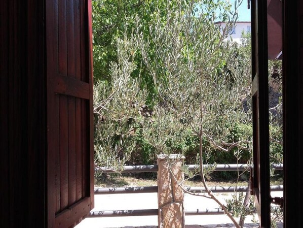 A view through an open wooden door into a courtyard with a tree and a stone pillar. - Apartments Smilje & Maslina (Obrovac)