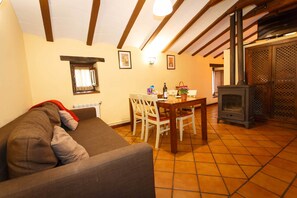 Télévision, cheminée, lecteur de DVD