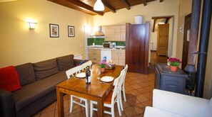 TV, fireplace, DVD player