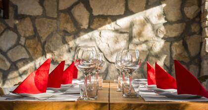 Victorious VIScovery Green