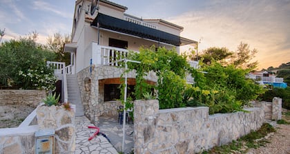 Victorious VIScovery Orange