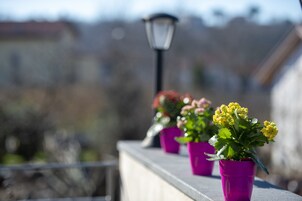 Detalle del exterior