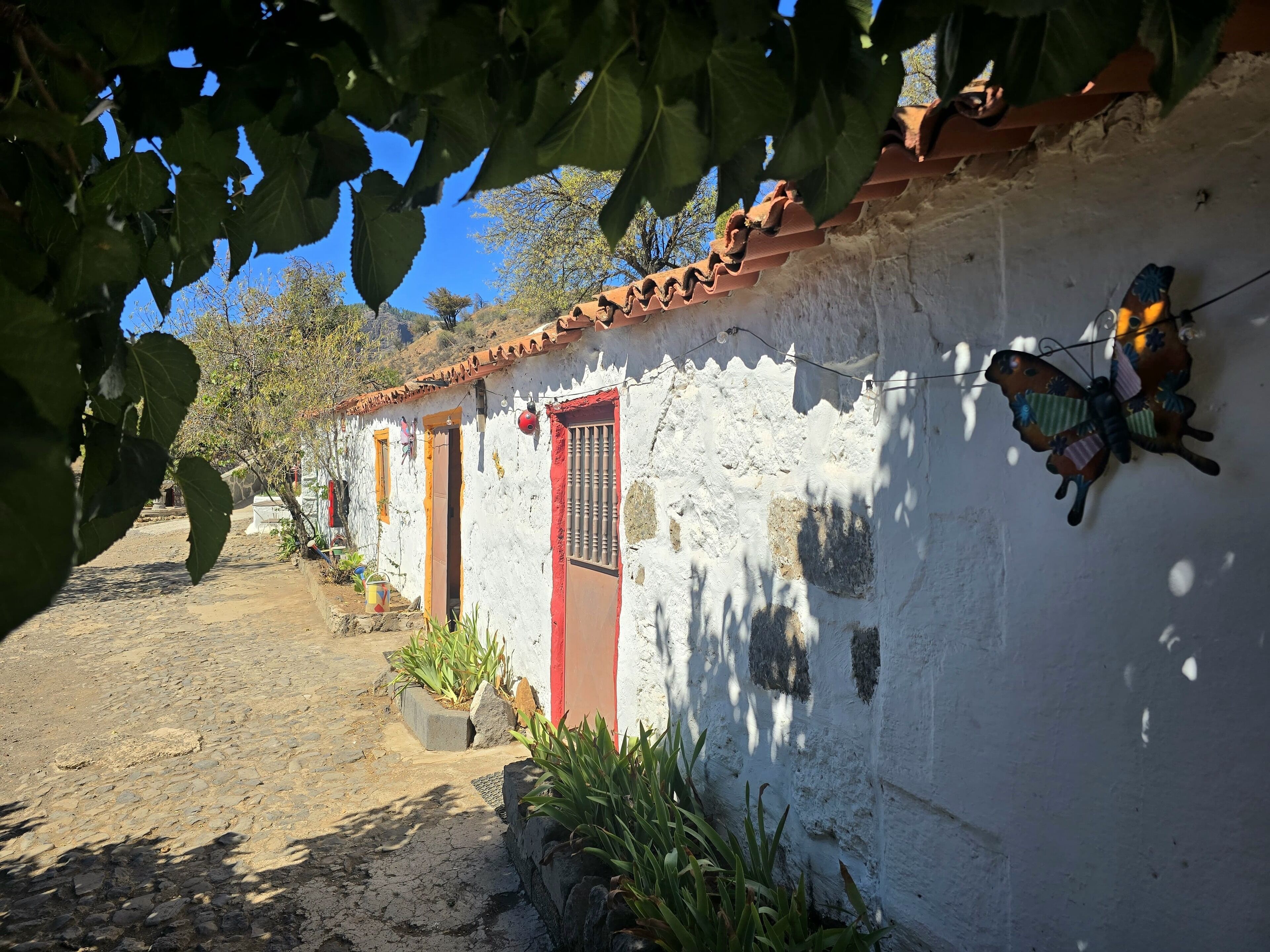 Photo - Mountain Hostel Finca la Isa