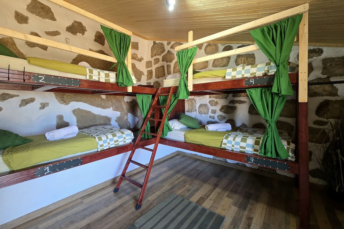 Dormitorio compartido estándar, dormitorio mixto, baño compartido, vista a la montaña (4 beds) | Ropa de cama hipoalergénica, edredón y ropa de cama