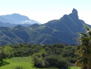 View from room - Mountain Hostel Finca la Isa (Tejeda)