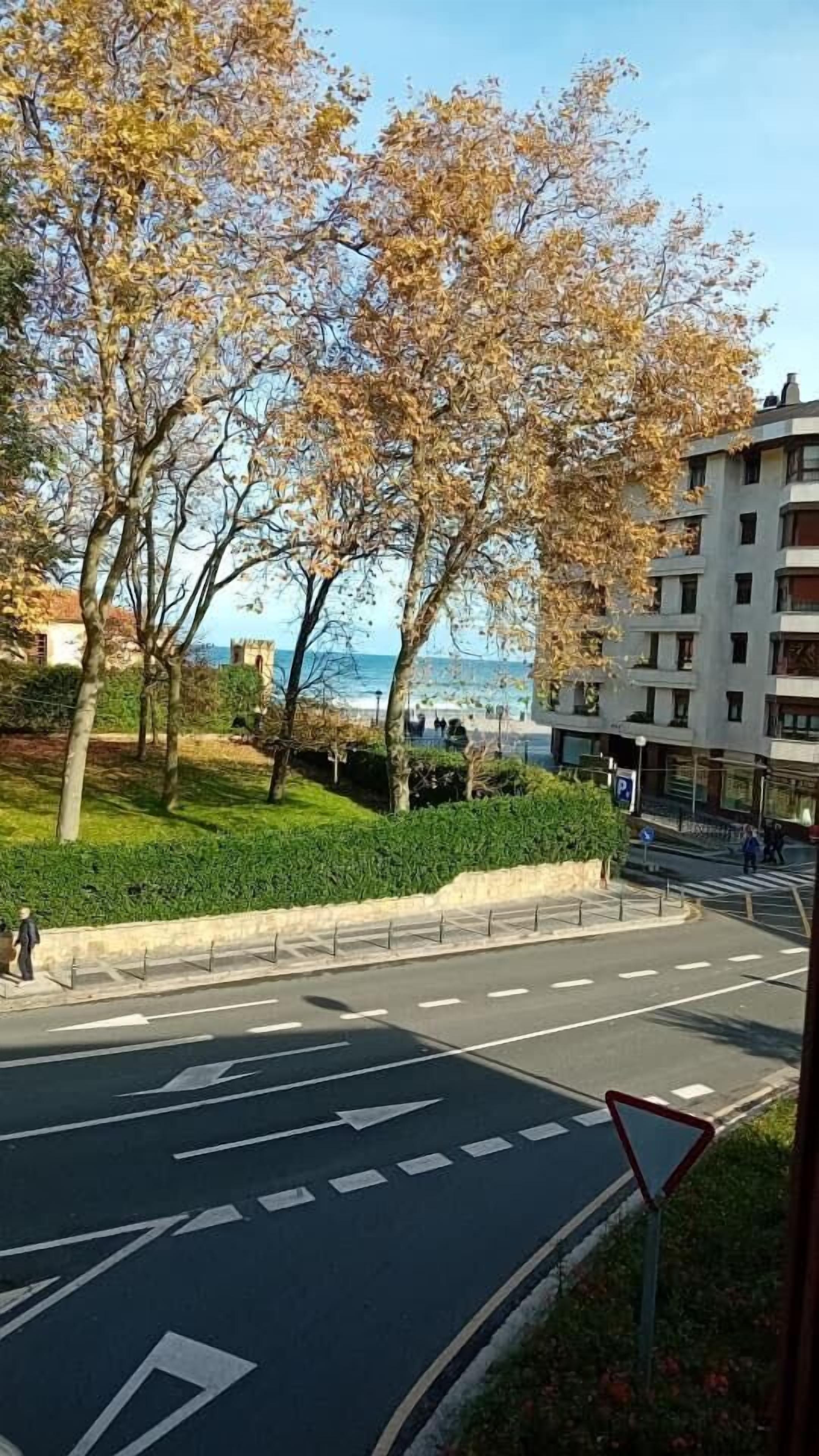 Vista de la calle con árboles, una carretera con flechas direccionales, un paso de peatones y un edificio con vistas al mar.