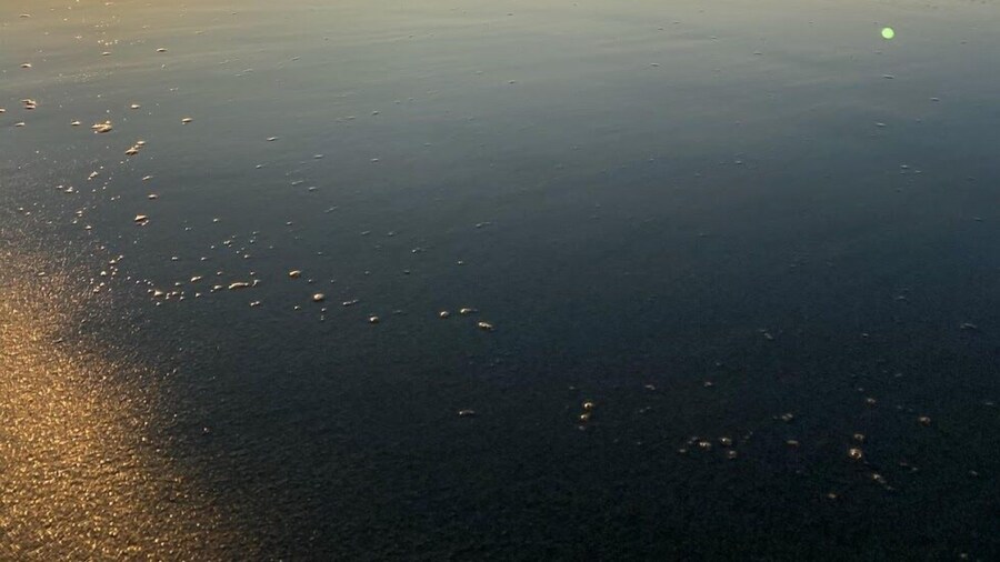 Midnattsol rom og hytter