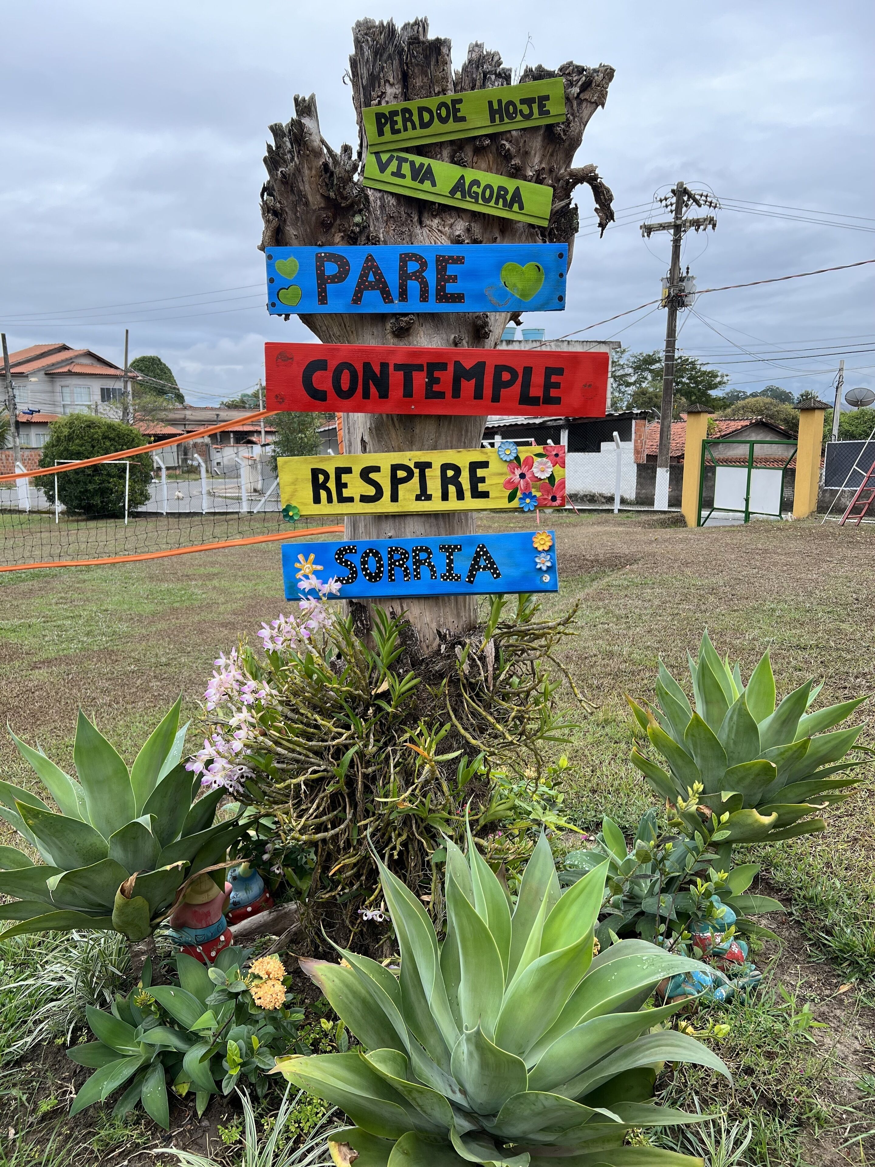 Un cartel de madera con varios letreros coloridos, rodeado de plantas y un área residencial al fondo.