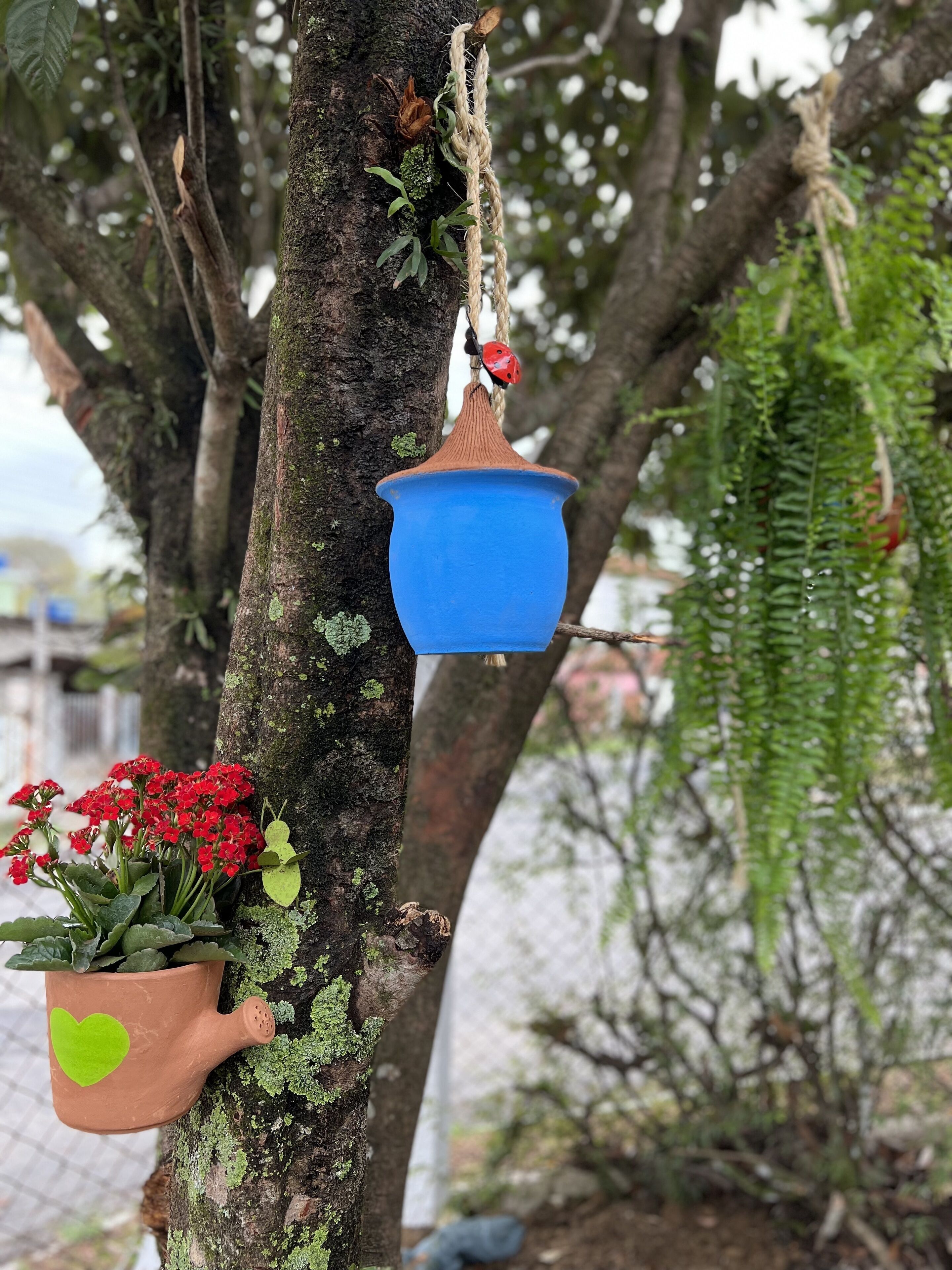 A tree with a hanging blue pot and a potted plant with red flowers.