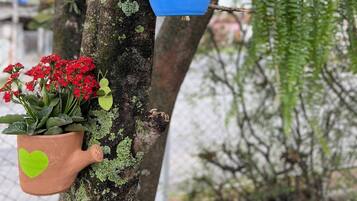 A tree with a hanging blue pot and a potted plant with red flowers.