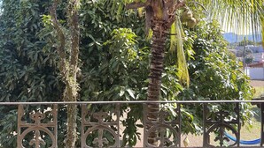 ميني بار وواي فاي مجانًا