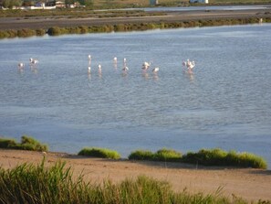 Una playa cerca