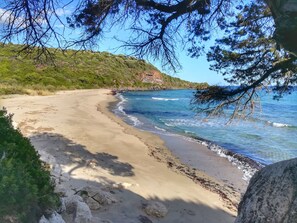 Beach nearby, sun loungers