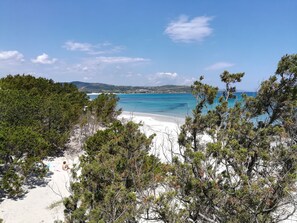 Beach nearby, sun loungers