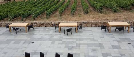 An outdoor seating area with tables and chairs, a stone wall, and rows of vineyards in the background.