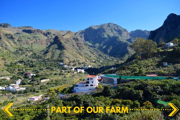 Aerial view - Casas Camino de Tamadaba (Vecindad de Enfrente)