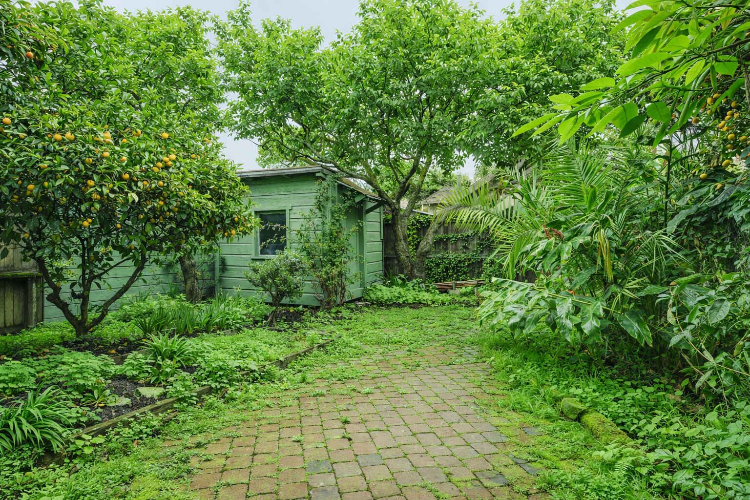 Terrain de l’hébergement 