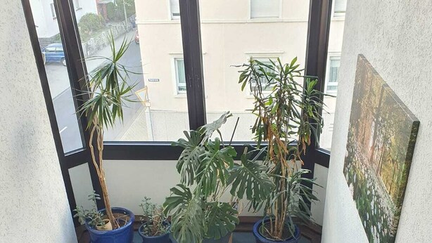 A balcony with potted plants, a patterned rug, and a painting on the wall. - Hotel - Pension - Weller (Muehlheim am Main)