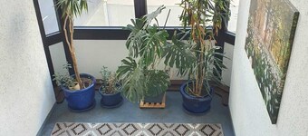 Hotel - Pension - Weller