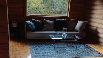 Fireplace, books, stereo