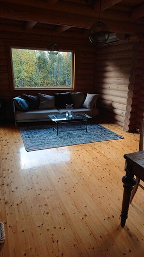 Fireplace, books, stereo - Captain Alexandri Cottage by the Sea (Laimjala)