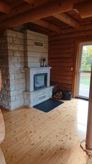 Fireplace, books, stereo