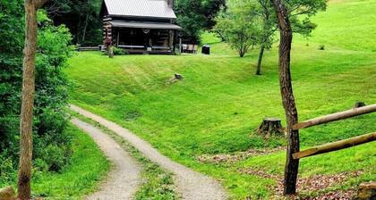 Renovated 1800s Pioneer Cottage