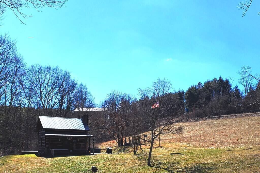 A log cabin with a metal roof, surrounded by a grassy field and trees.