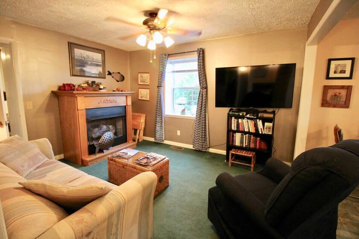 A living room with a fireplace, a television, a bookshelf, and a sofa.