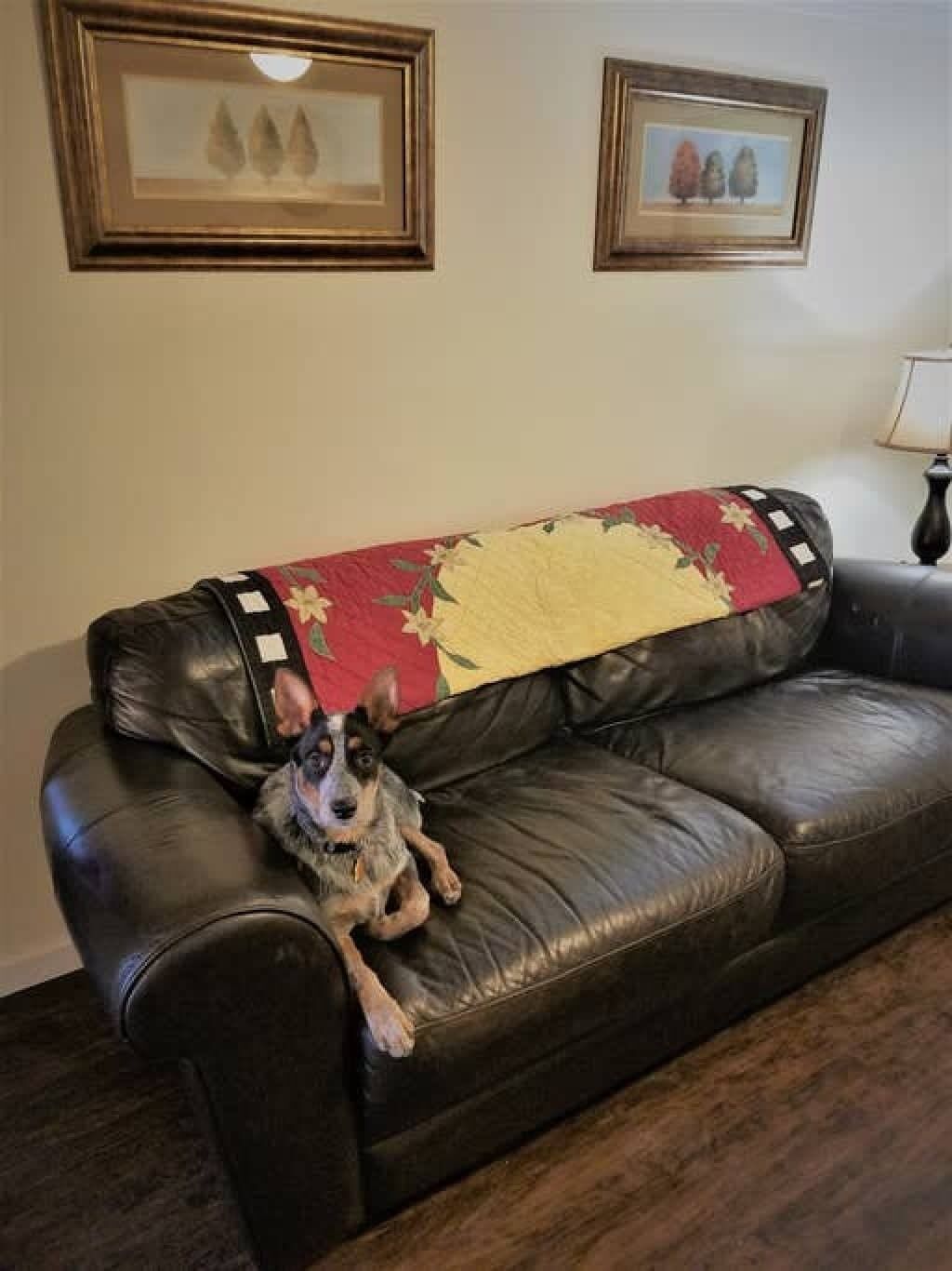 Cheap east Knoxville basement studio