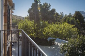 Property grounds - The Mulberry Tree House farmhouse surrounded by an olive grove (Scopello, Castellammare del Golfo)