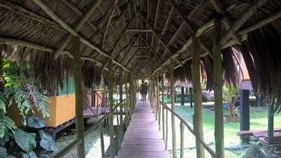 Cabaña Amazon Lodge