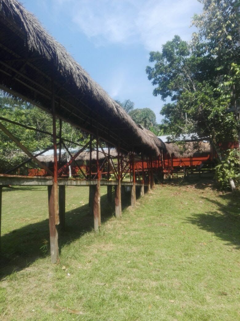 A thatched roof structure supported by wooden posts, likely a traditional or cultural building, with a grassy area in the foreground and trees in the background.