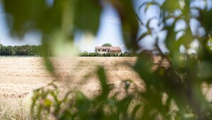 A house in a field with a clear sky. - Agriturismo Il Mondo (Parma)