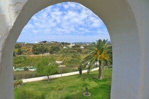 Image sans description, 3 de 63, bouton