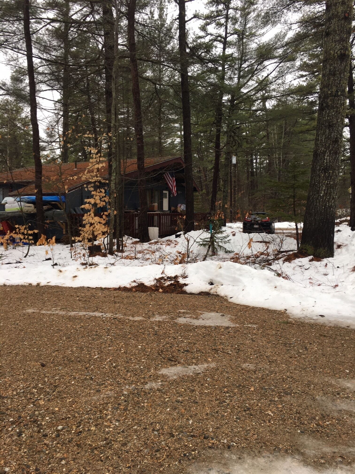 Une cabane dans une forêt, avec de la neige au sol et sur les arbres.