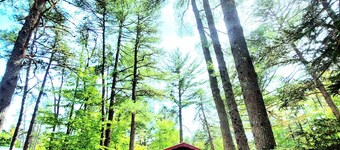 Annulation de dernière minute!  Maintenant disponible pour les vacances scolaires de février.  