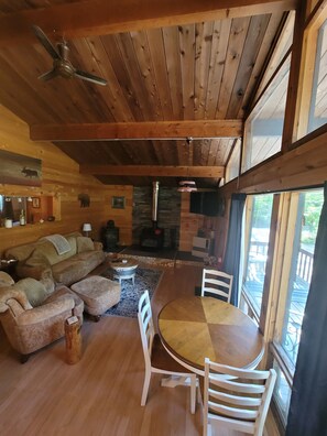 TV, fireplace, books