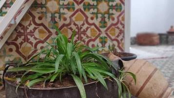 Apartment, 1 Bedroom, Terrace | Terrace/patio