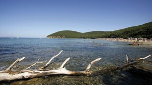 Una playa con agua cristalina, ramas de madera arrastradas por la marea y barcos a lo lejos.