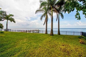 A grassy area with palm trees and a wooden dock extending into the water.