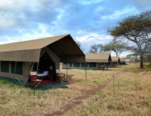 Property grounds - Rongai Eleven Serengeti Camp (Serengeti)