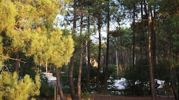 Enceinte de lâhĂ©bergement