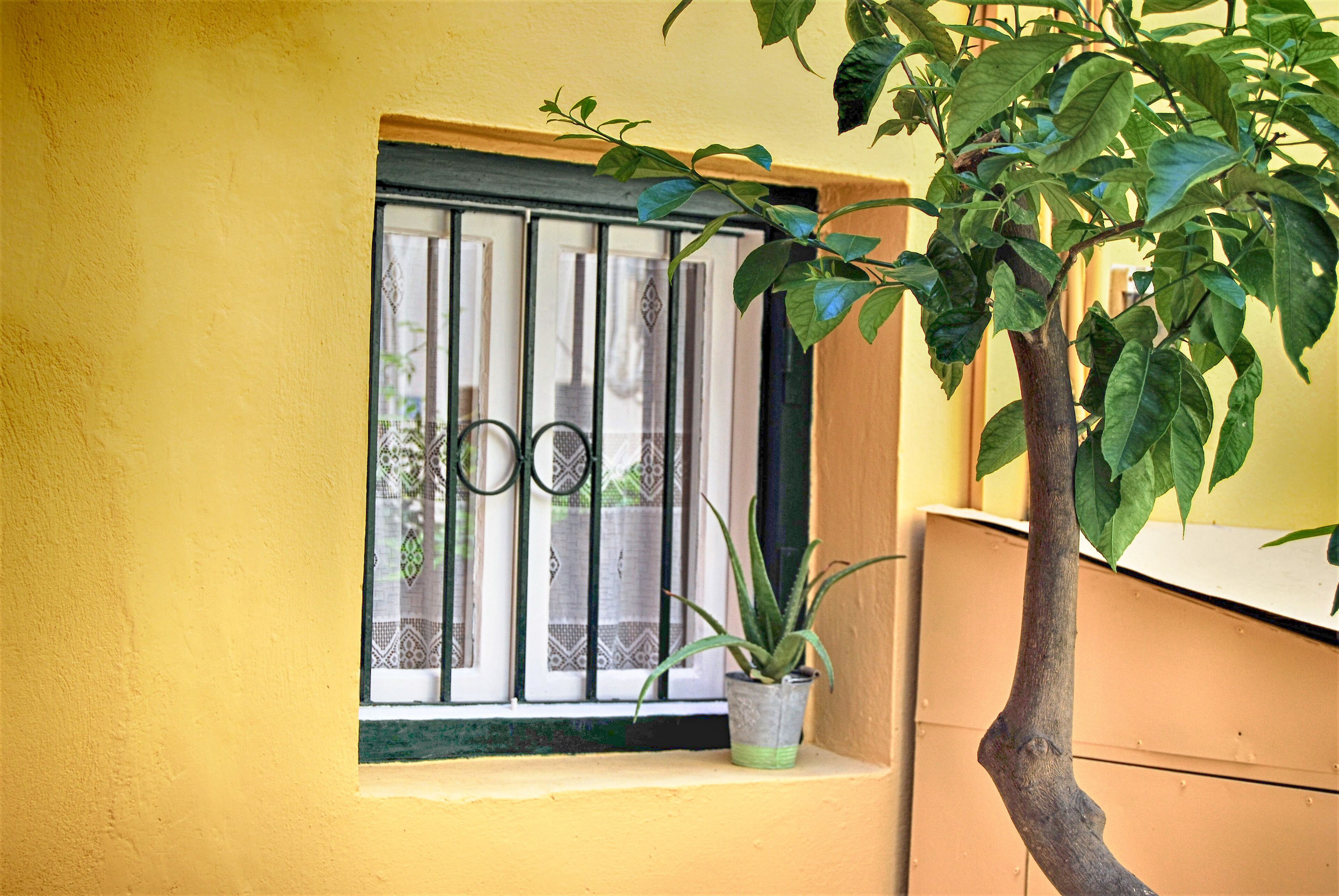 A window with a metal grill, a potted plant on the windowsill, and a yellow wall.