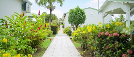 Terrein van de accommodatie