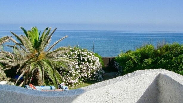 A coastal view with a clear sky, a palm tree, and a body of water. - Sunsets in the sea of Sardinia (Sorso)