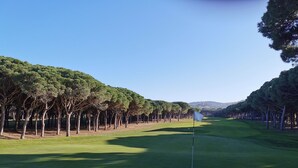 A golf course with a flagstick, surrounded by rows of trees. - Villa Vuelta , spacious house with private pool (Pals)
